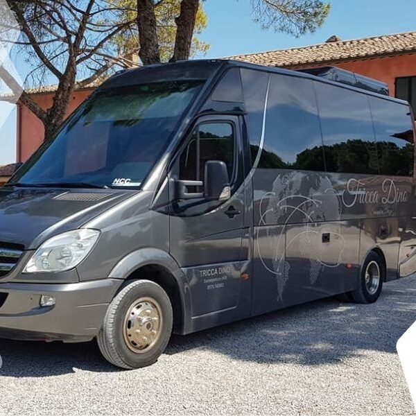 Noleggio minibus con o senza conducente vicino Perugia da Tricca Dino
