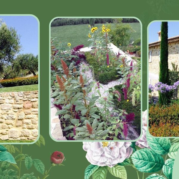 Manutenzione giardini e spazi verdi a Umbertide da Ranucoli Vivai