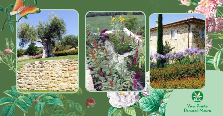 Manutenzione giardini e spazi verdi a Umbertide da Ranucoli Vivai