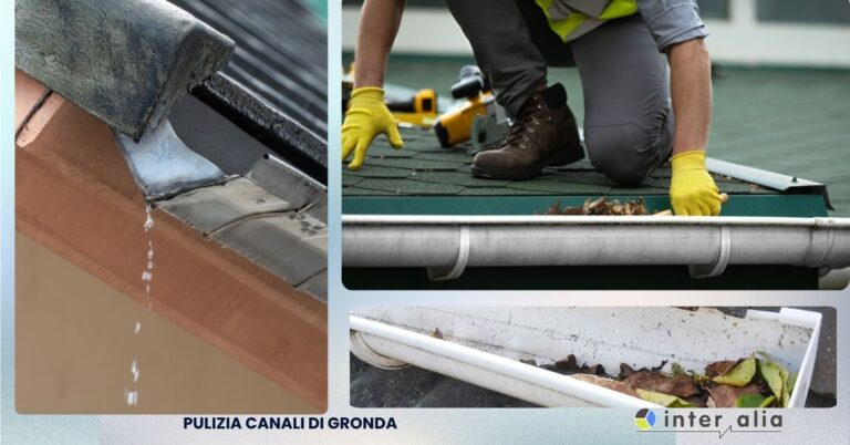 Pulizia dei canali di gronda per privati e aziende a Perugia da Inter Alia