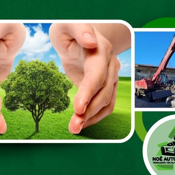 Demolizione auto e veicoli a Città di Castello da Noè Autodemolizioni srl