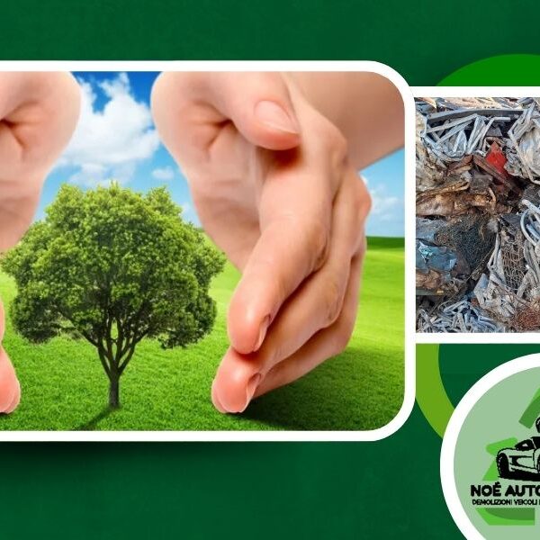 Recupero materiali ferrosi aziendali in provincia di Perugia da Noe Autodemolizioni srl