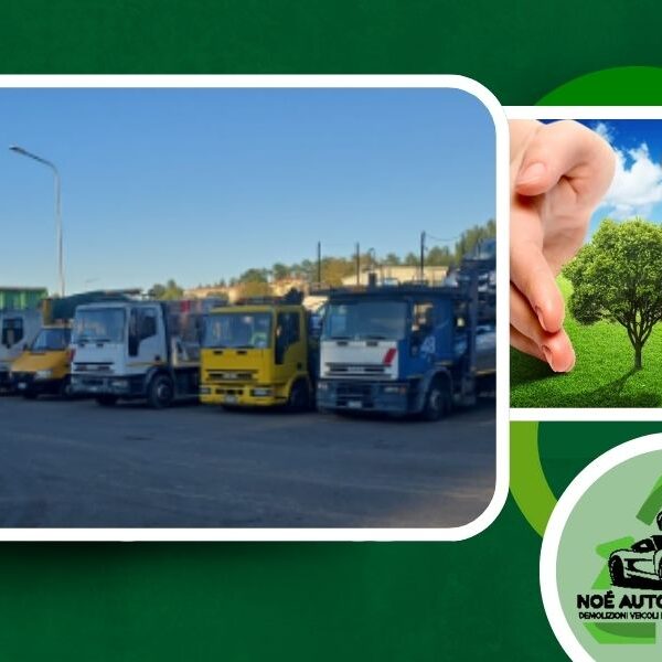 Servizio trasporti materiali metallici conto terzi a San Sepolcro da Noe Autodemolizioni srl