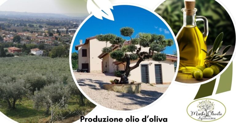 Agriturismo produzione olio extravergine d'oliva ad Assisi: tradizione e qualità nel cuore dell'Umbria nell'Agriturismo Monte Oliveto