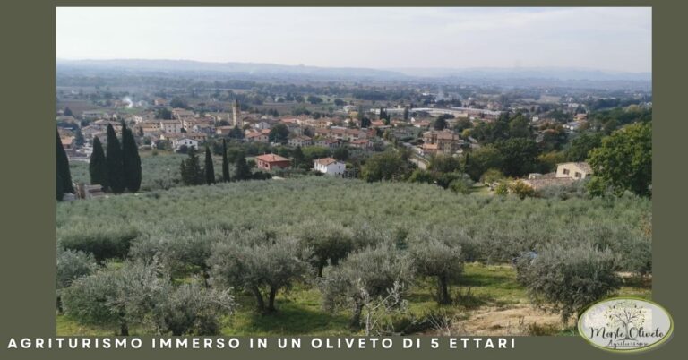 Agriturismo immerso in un oliveto di 5 ettari ad Assisi: un'oasi verde nel cuore dell'Umbria presso l'Agriturismo Monte Oliveto